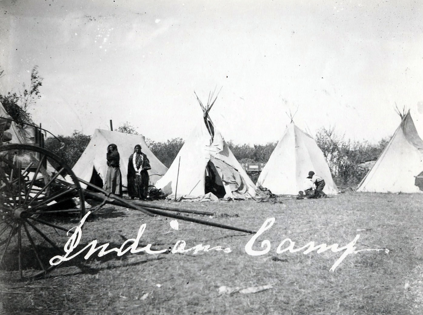 Camp